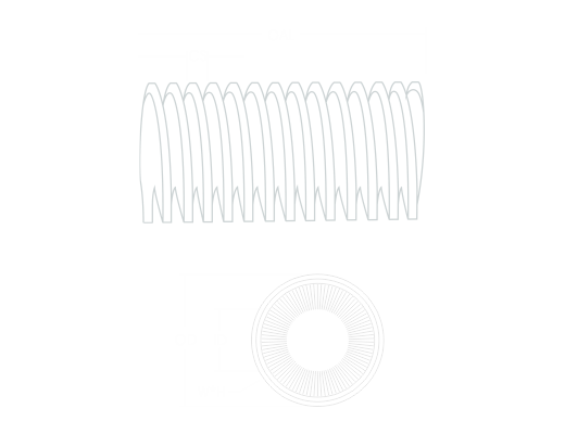 Inside Spiral & Disk